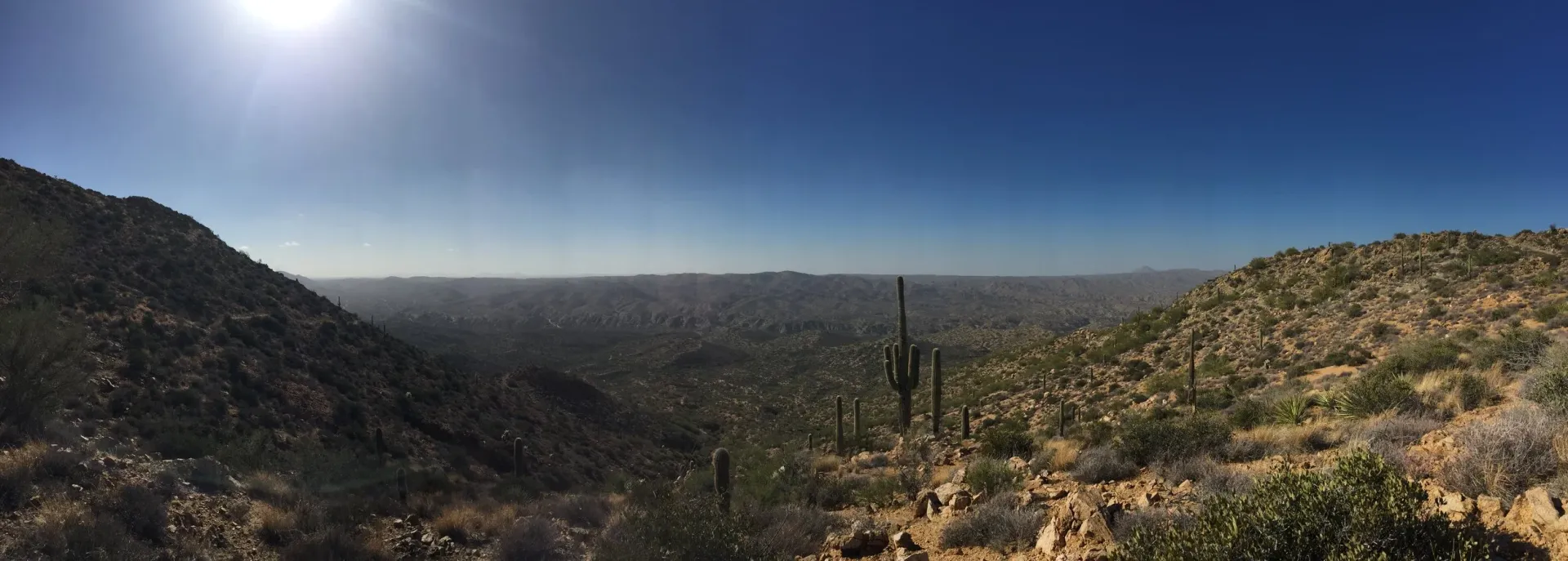 Desert panorama landscape